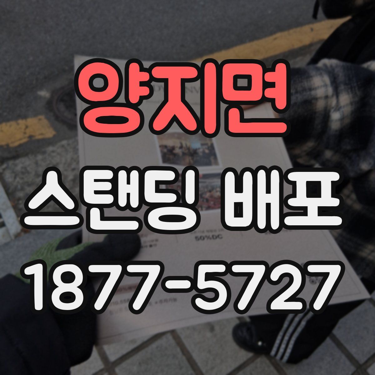양지면 스탠딩 배포