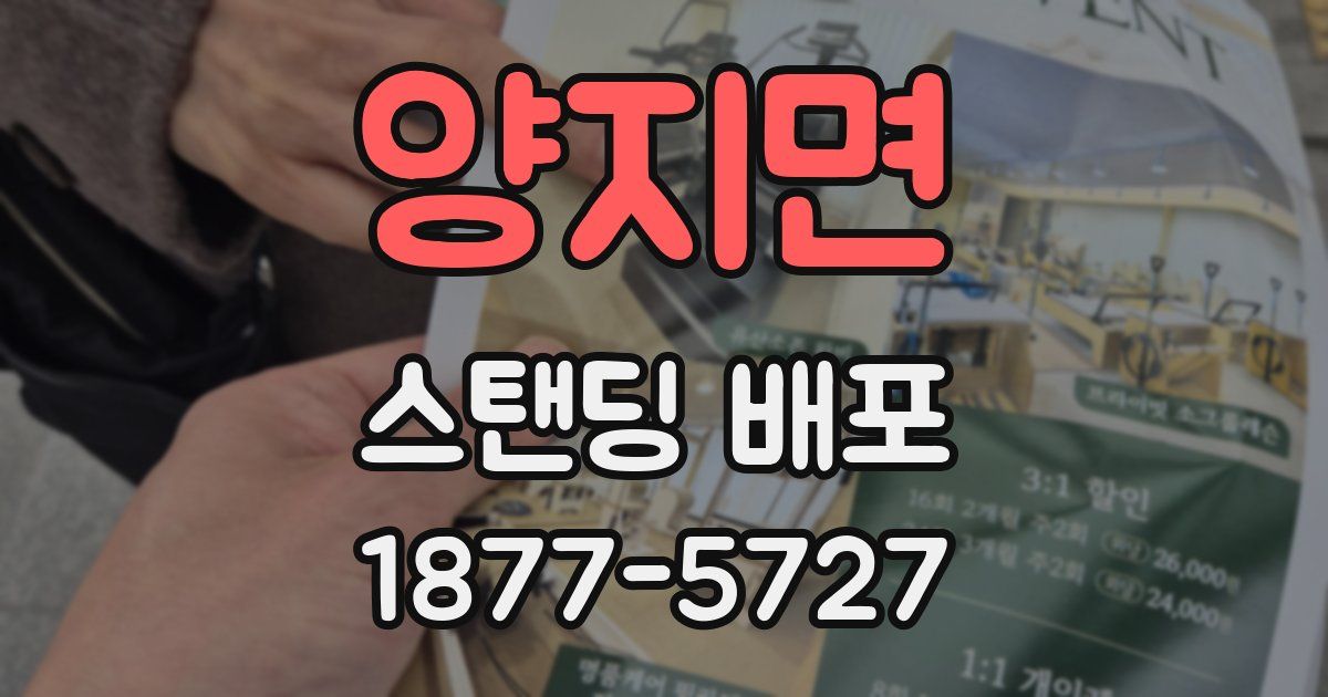 양지면 스탠딩 배포