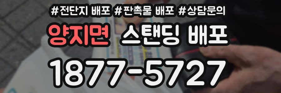 양지면 스탠딩 배포