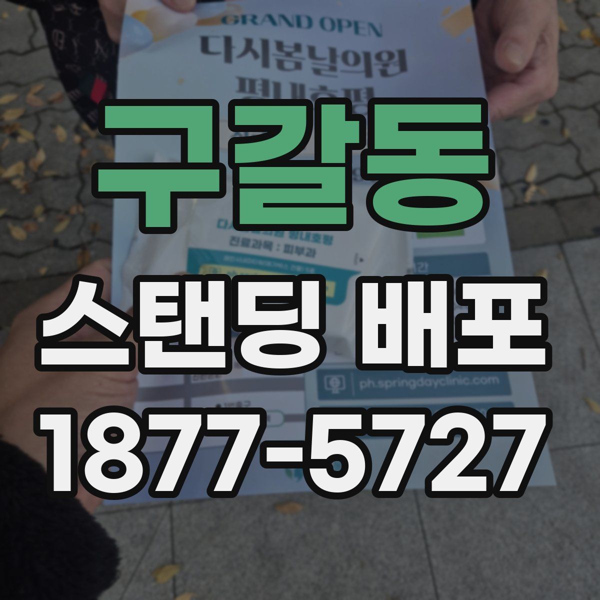 구갈동 스탠딩 배포