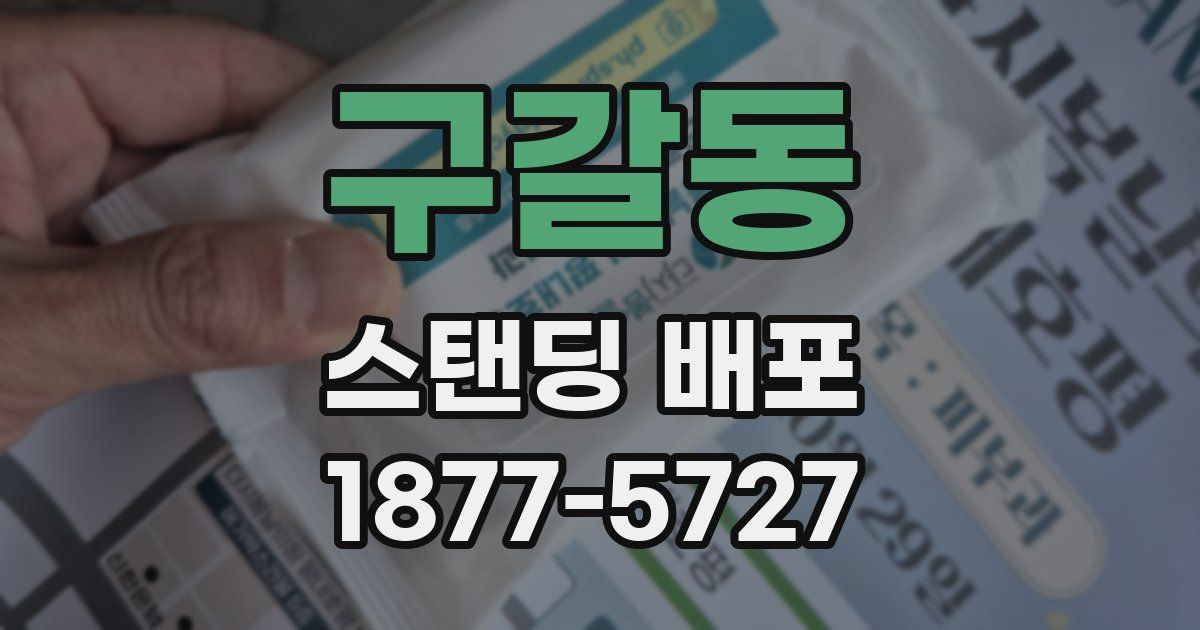 구갈동 스탠딩 배포