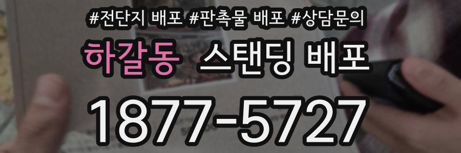 하갈동 스탠딩 배포