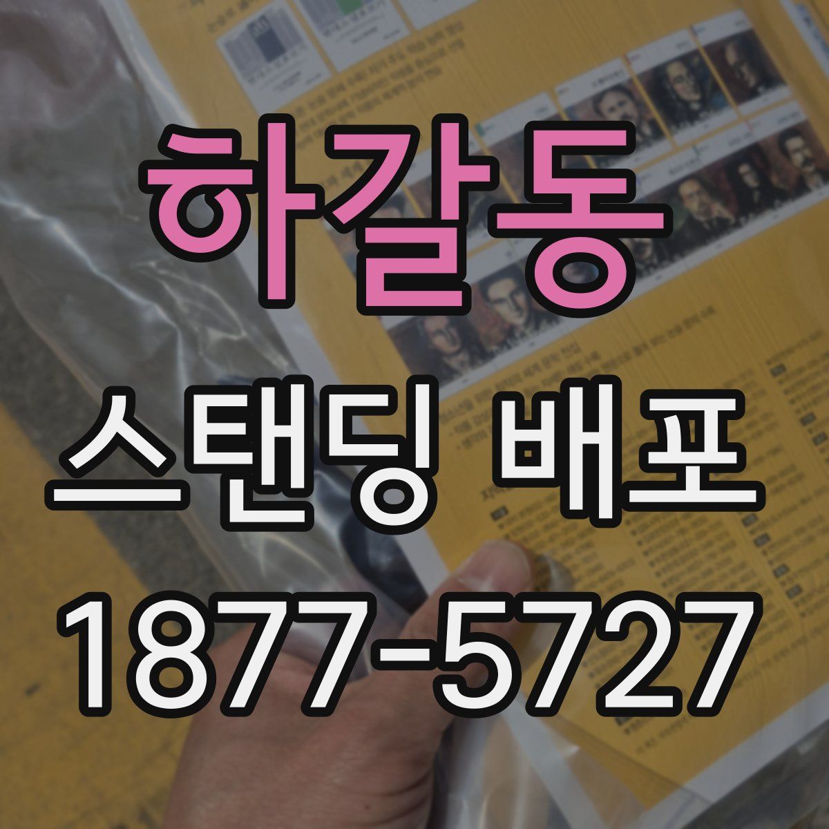 하갈동 스탠딩 배포