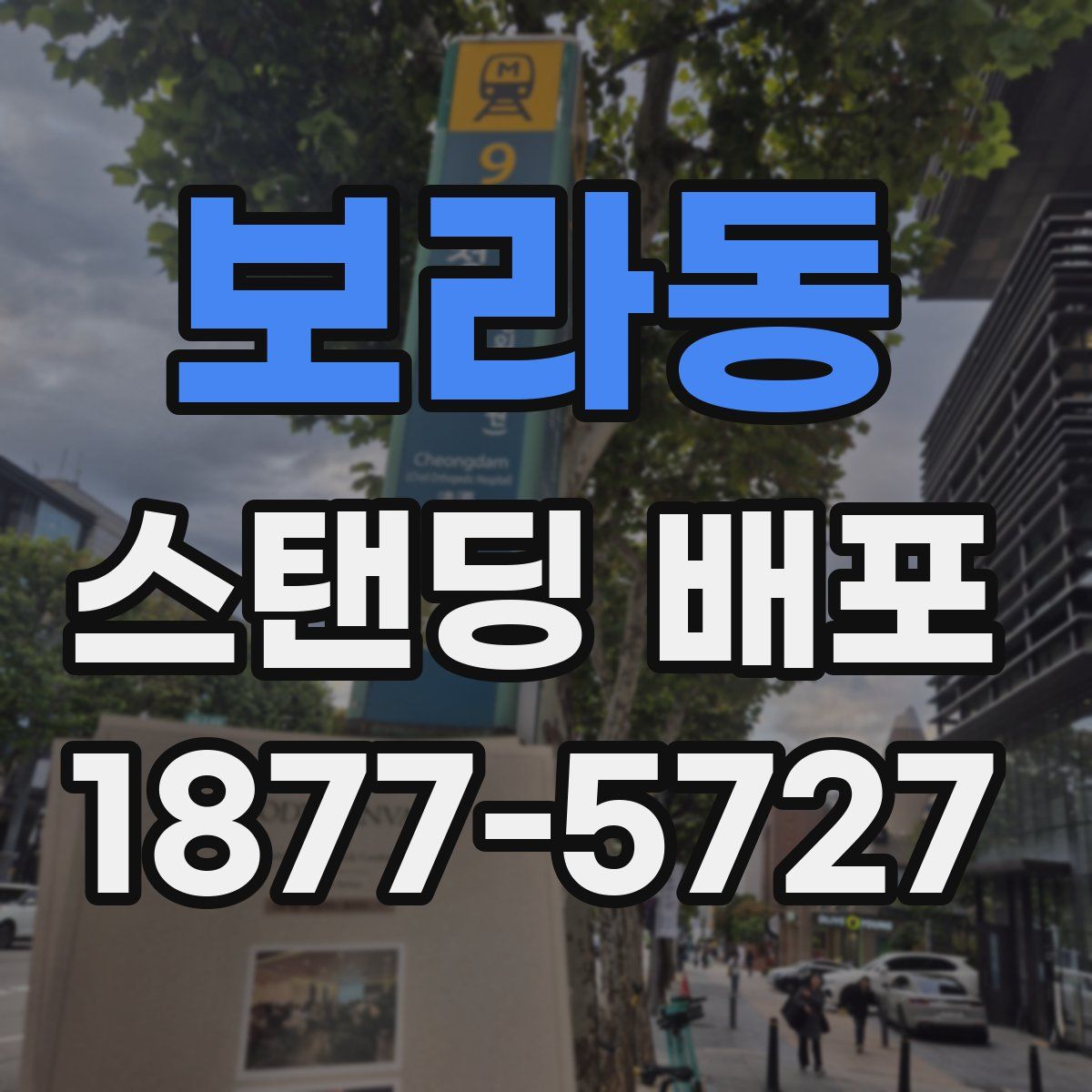 보라동 스탠딩 배포