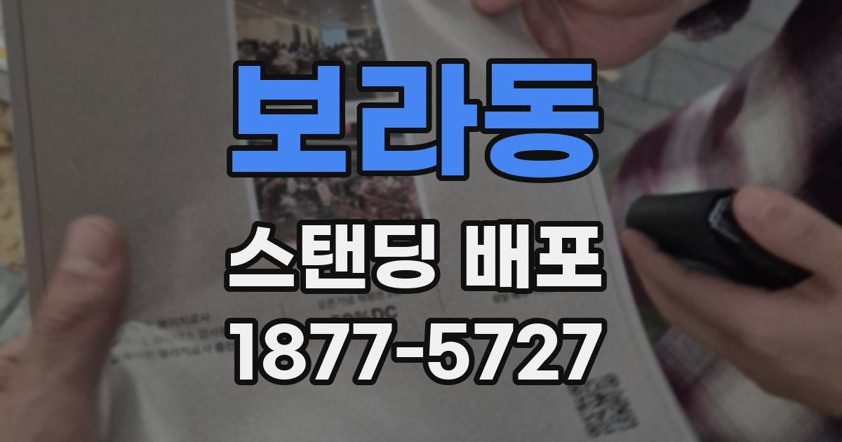 보라동 스탠딩 배포