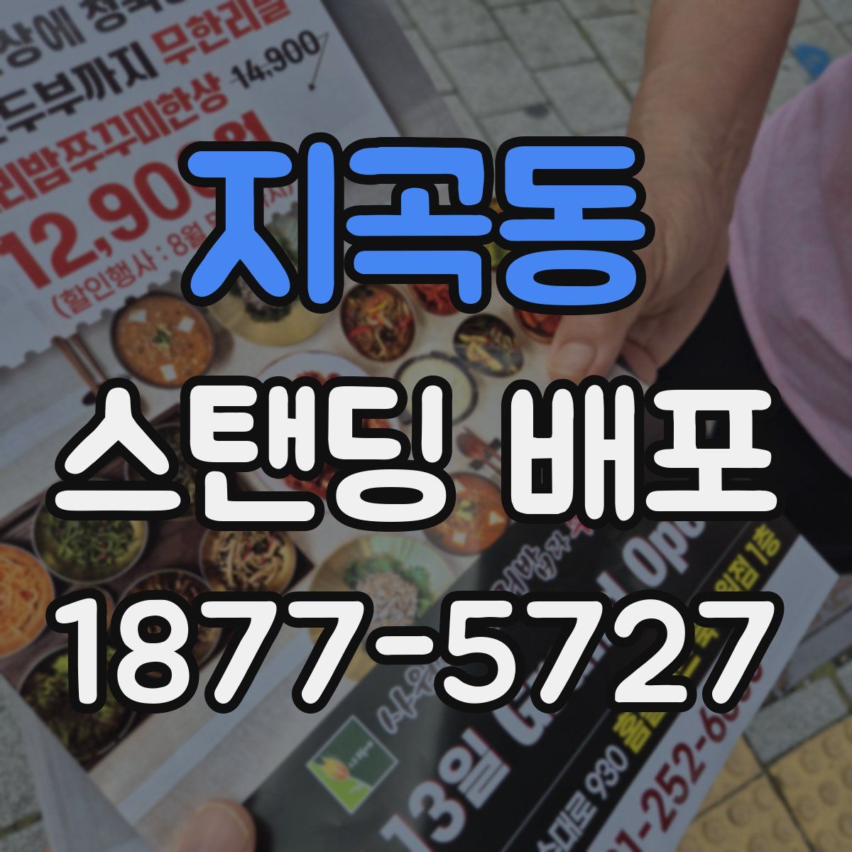 지곡동 스탠딩 배포