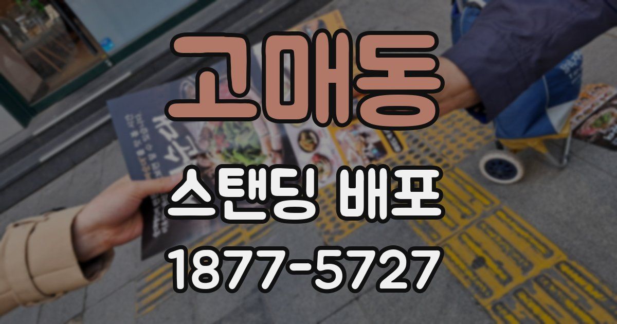 고매동 스탠딩 배포