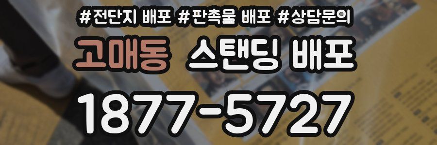 고매동 스탠딩 배포