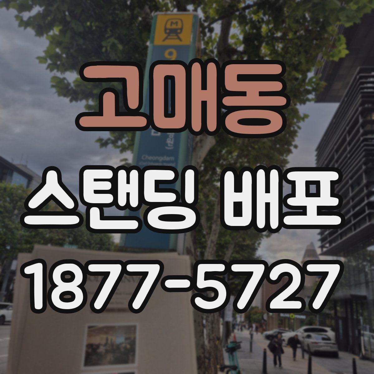 고매동 스탠딩 배포