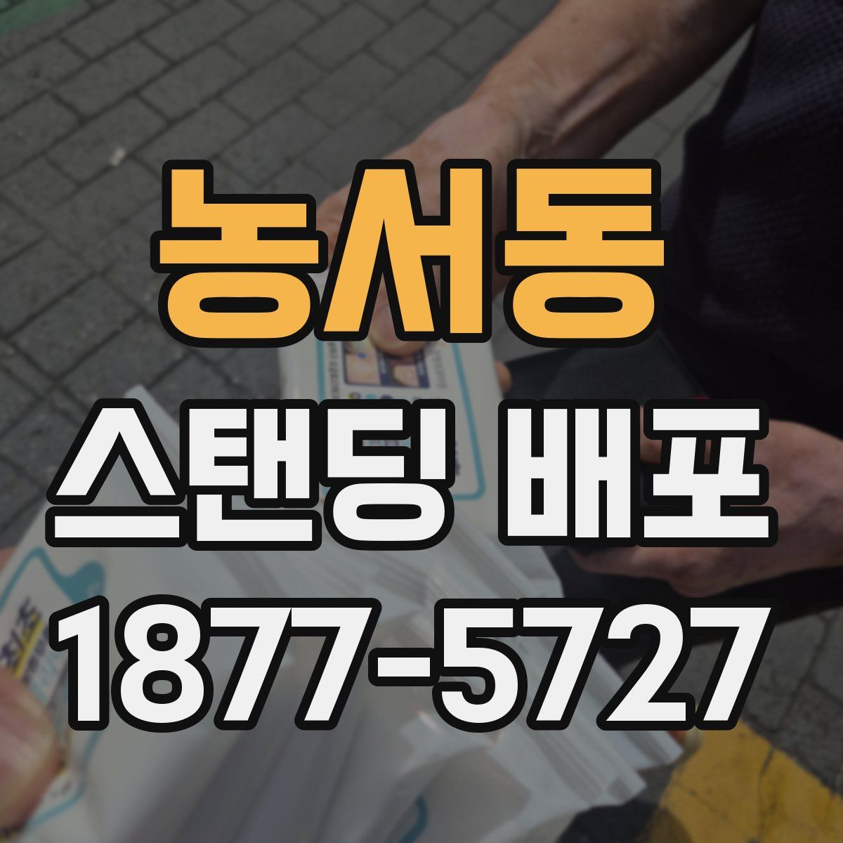 농서동 스탠딩 배포