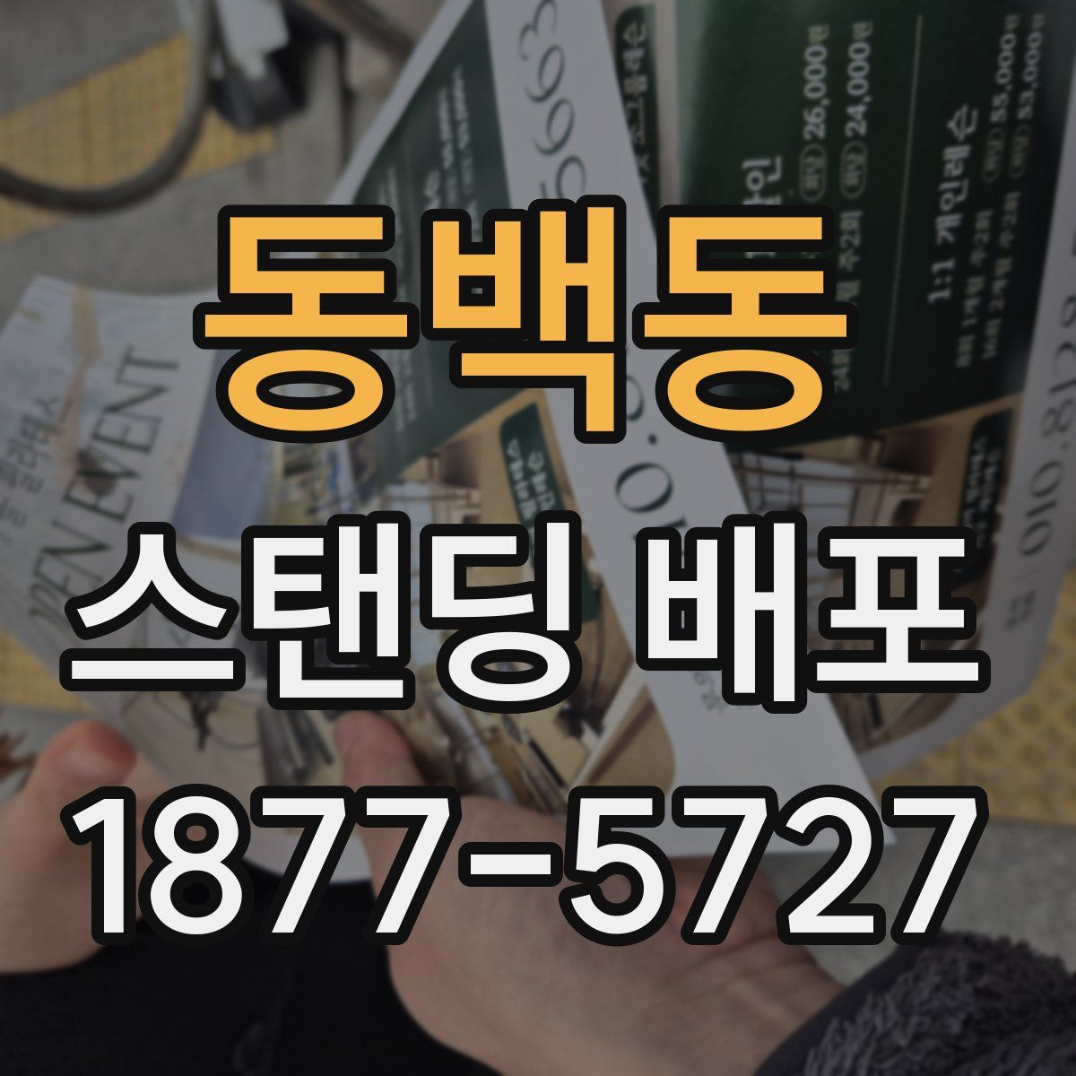 동백동 스탠딩 배포