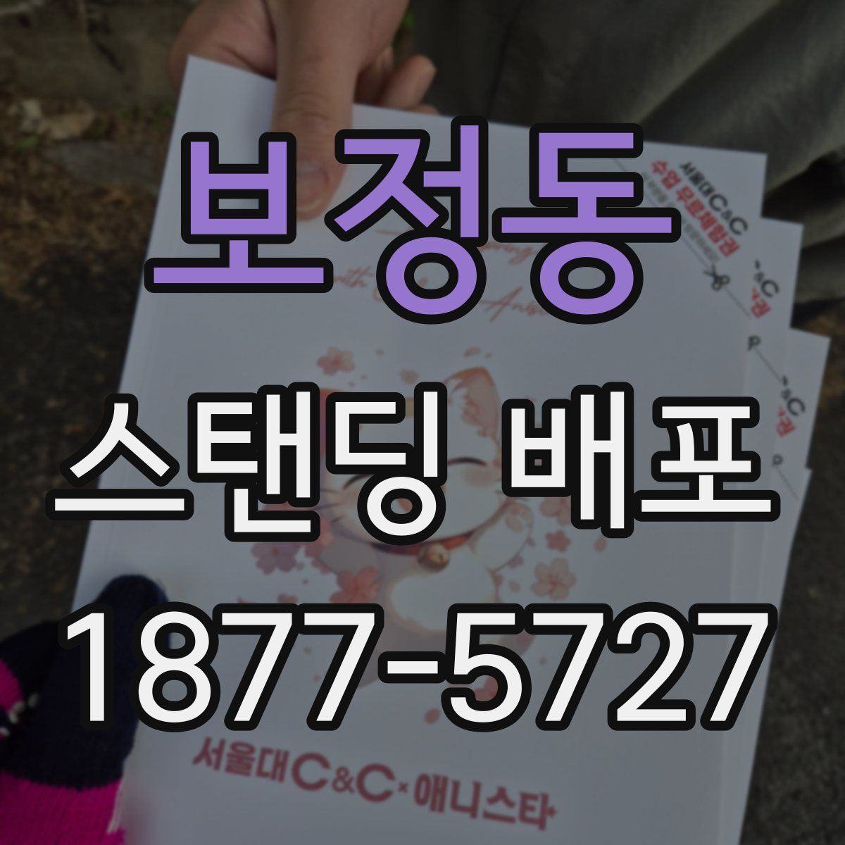 보정동 스탠딩 배포