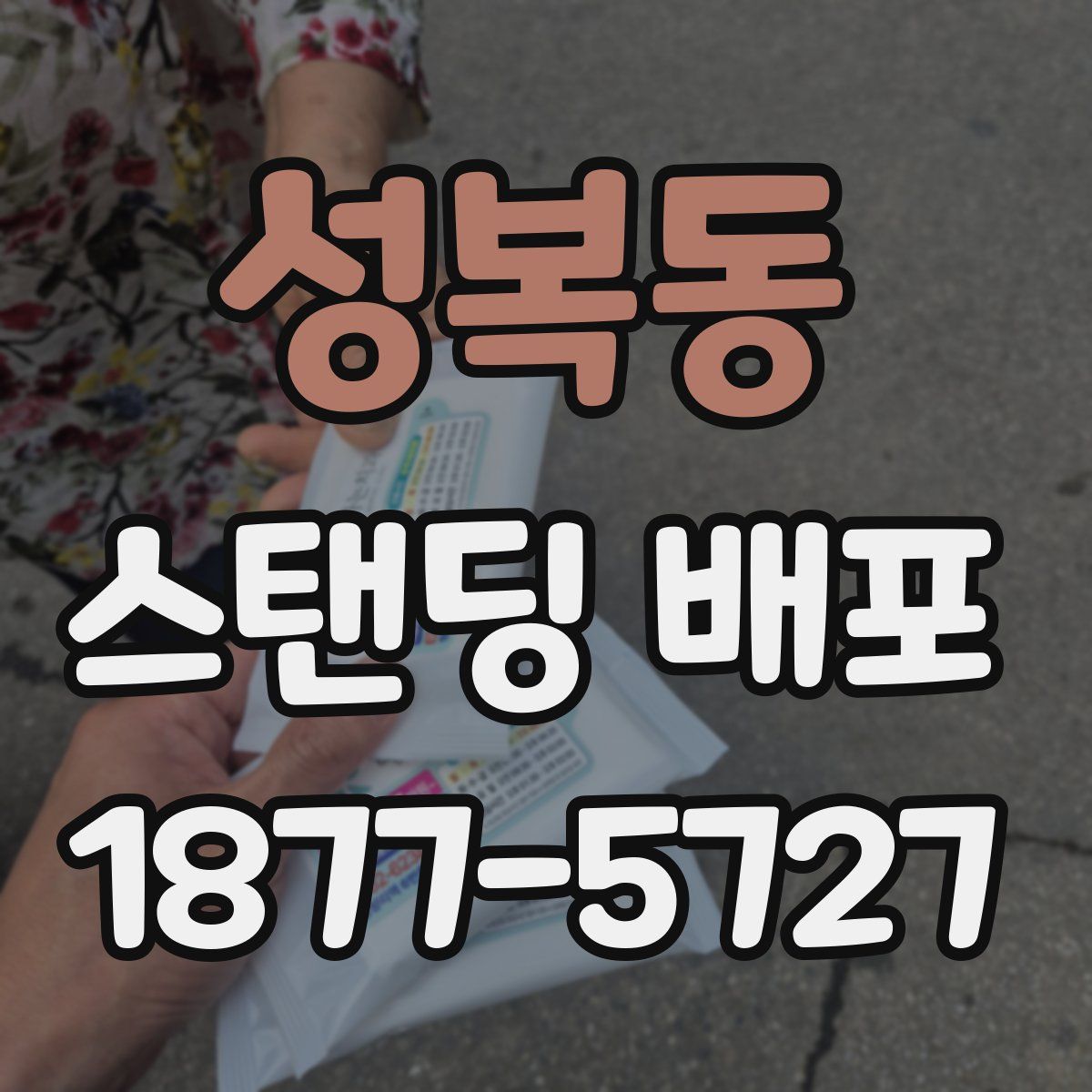 성복동 스탠딩 배포