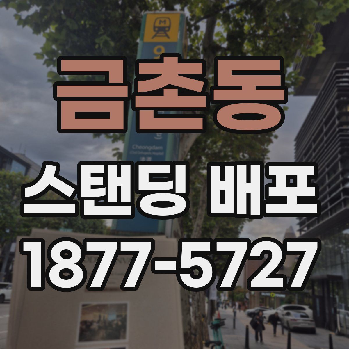 금촌동 스탠딩 배포