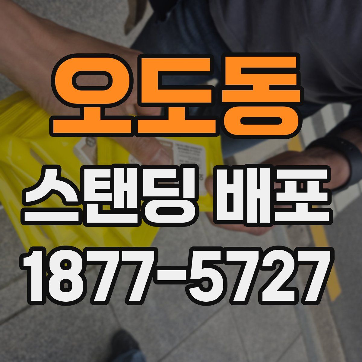 오도동 스탠딩 배포