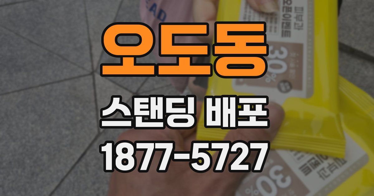 오도동 스탠딩 배포