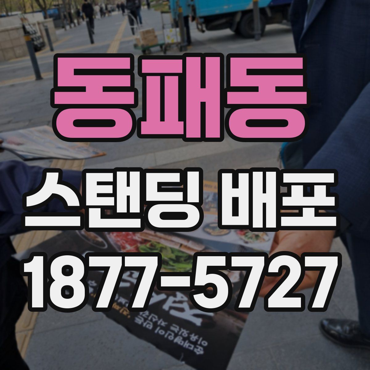 동패동 스탠딩 배포