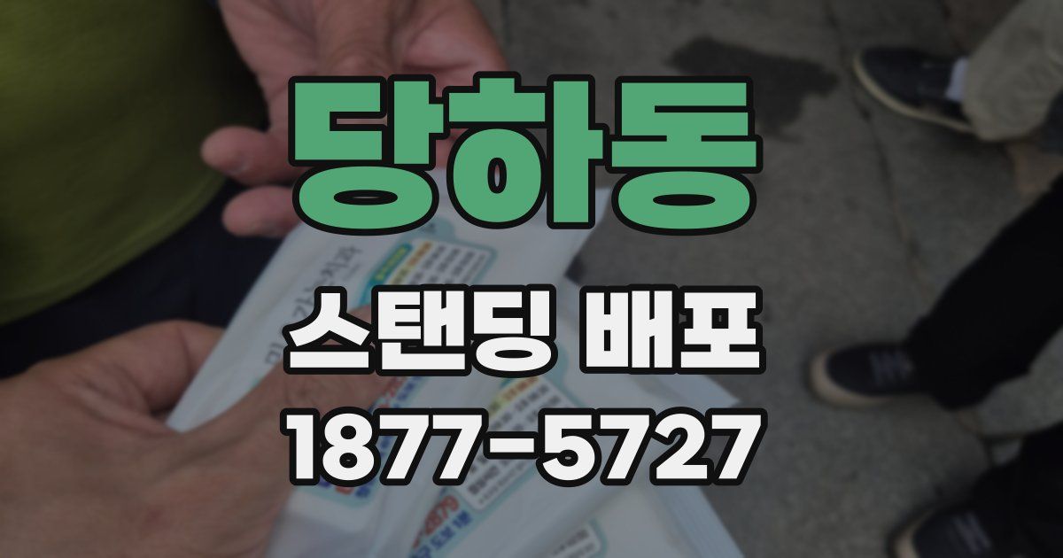 당하동 스탠딩 배포