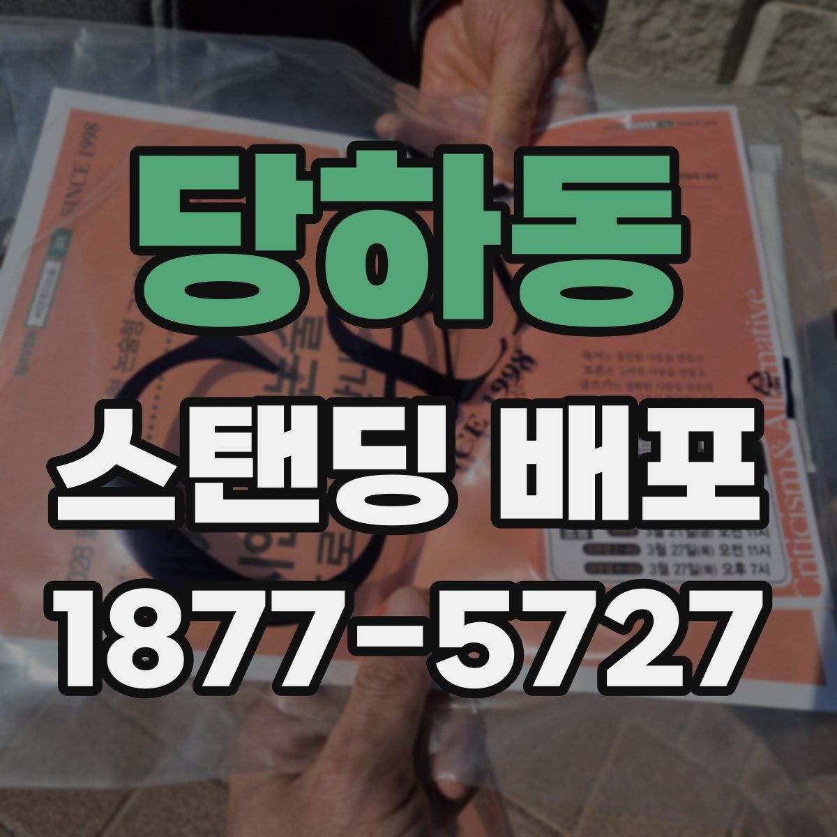 당하동 스탠딩 배포