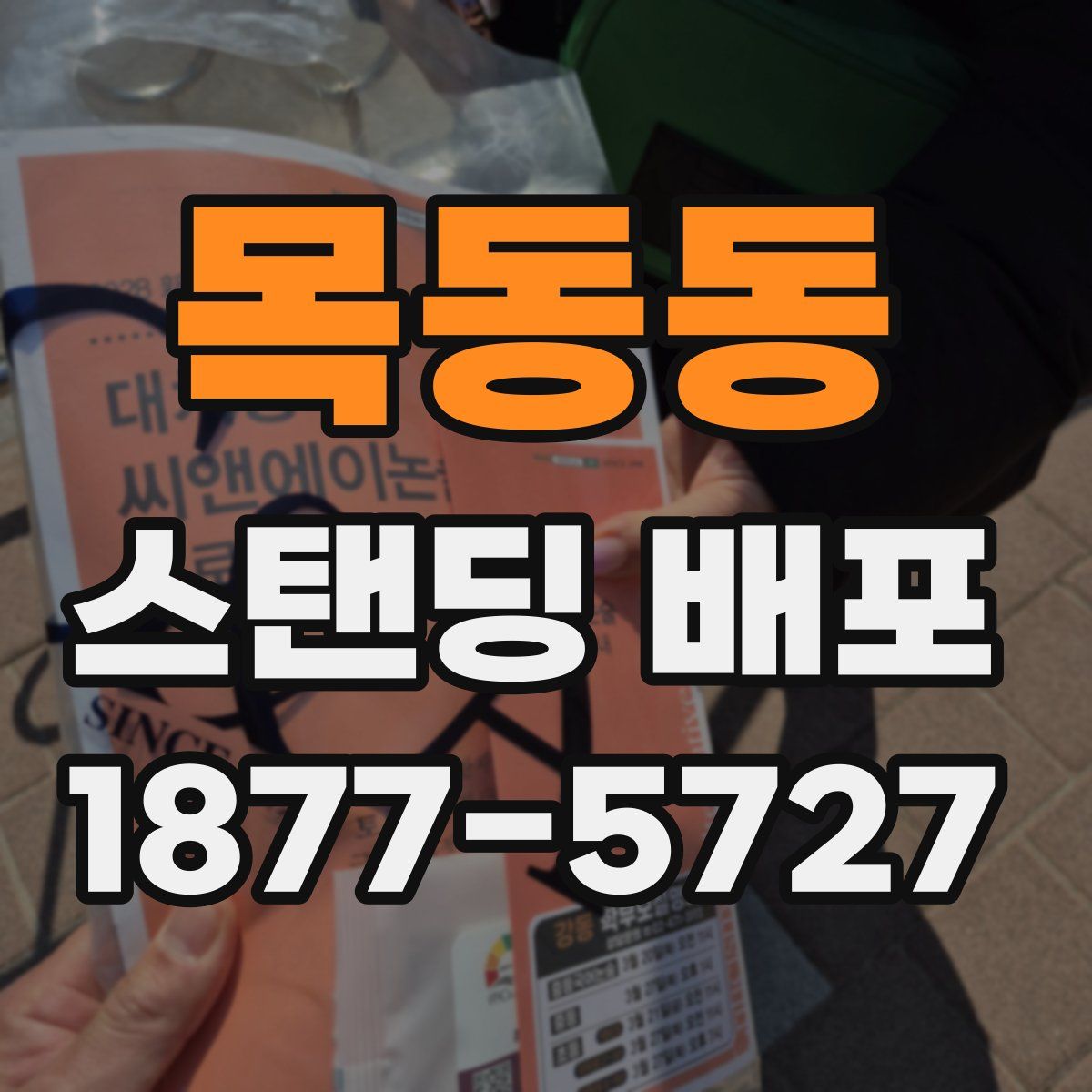 목동동 스탠딩 배포