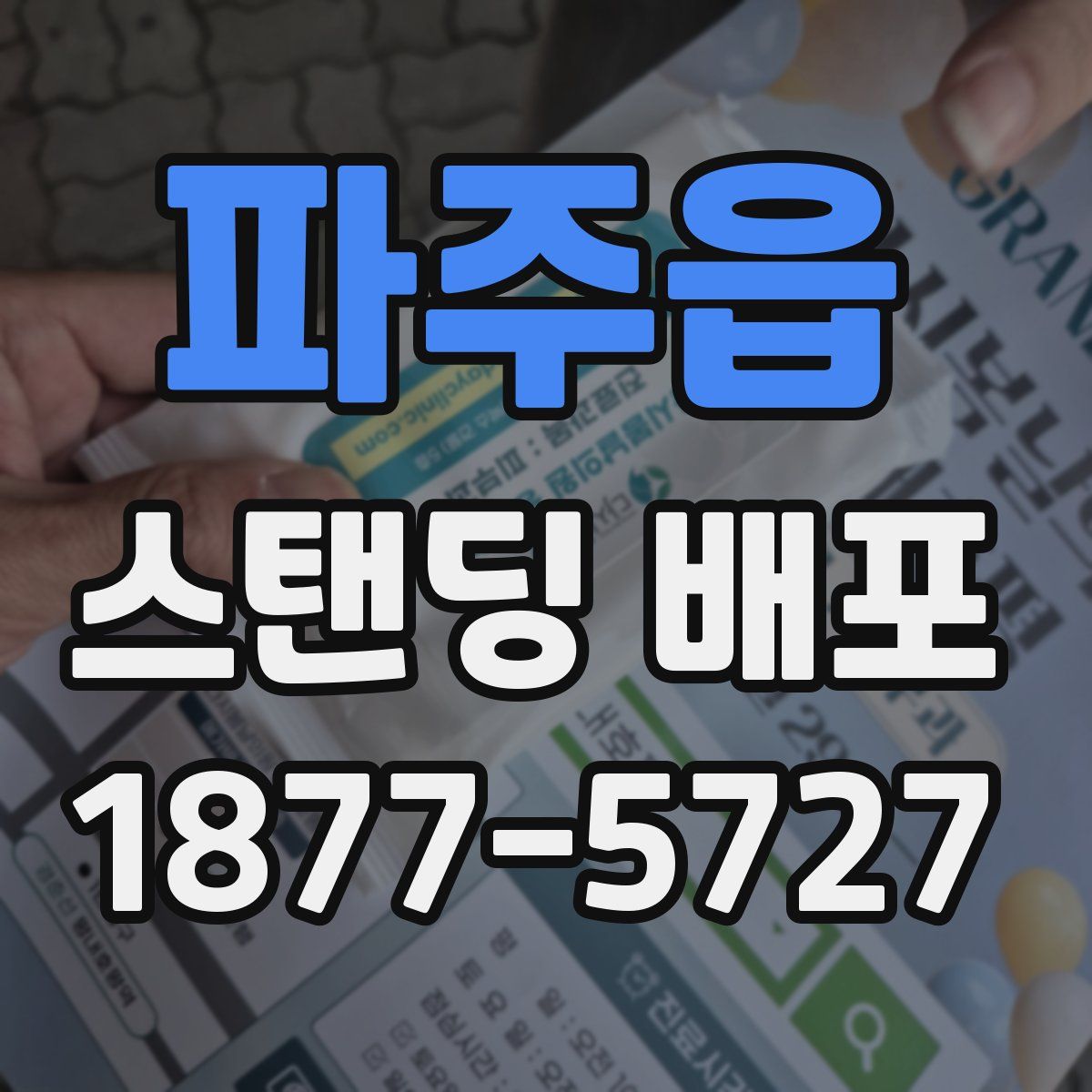 파주읍 스탠딩 배포