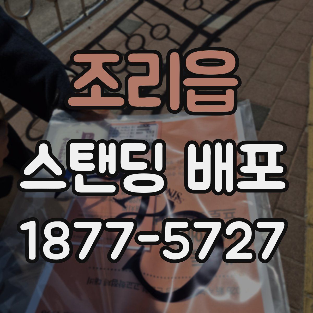 조리읍 스탠딩 배포