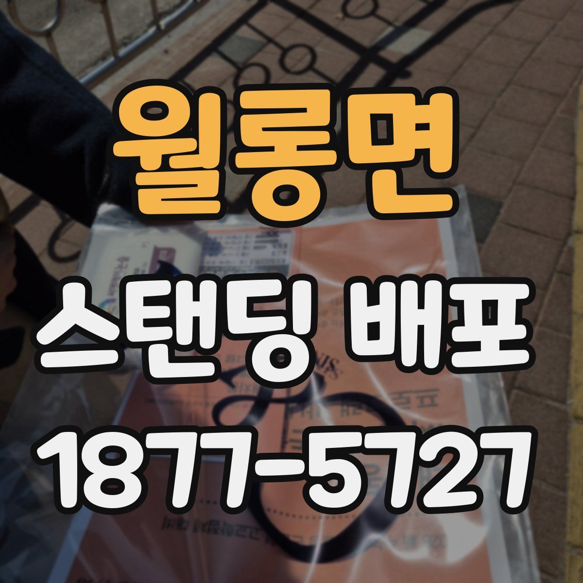 월롱면 스탠딩 배포