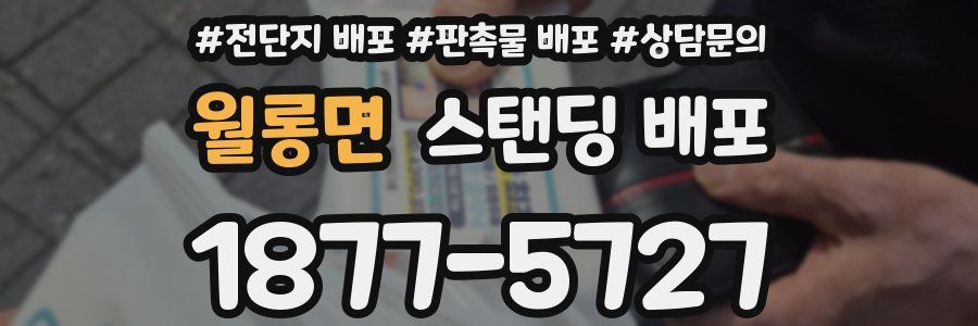월롱면 스탠딩 배포