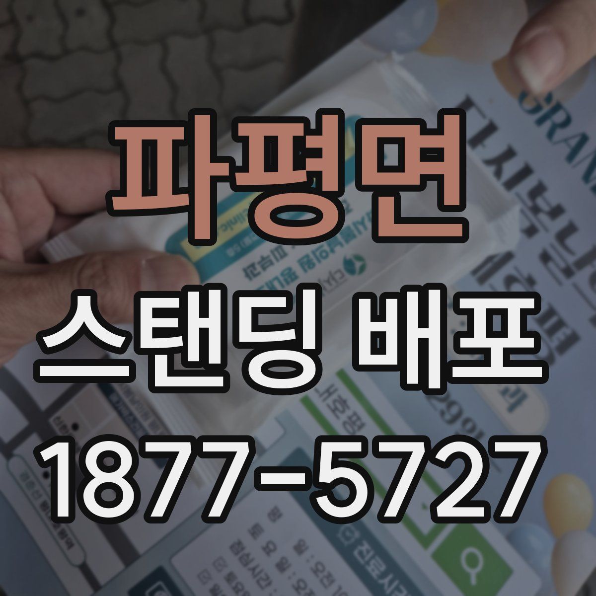 파평면 스탠딩 배포