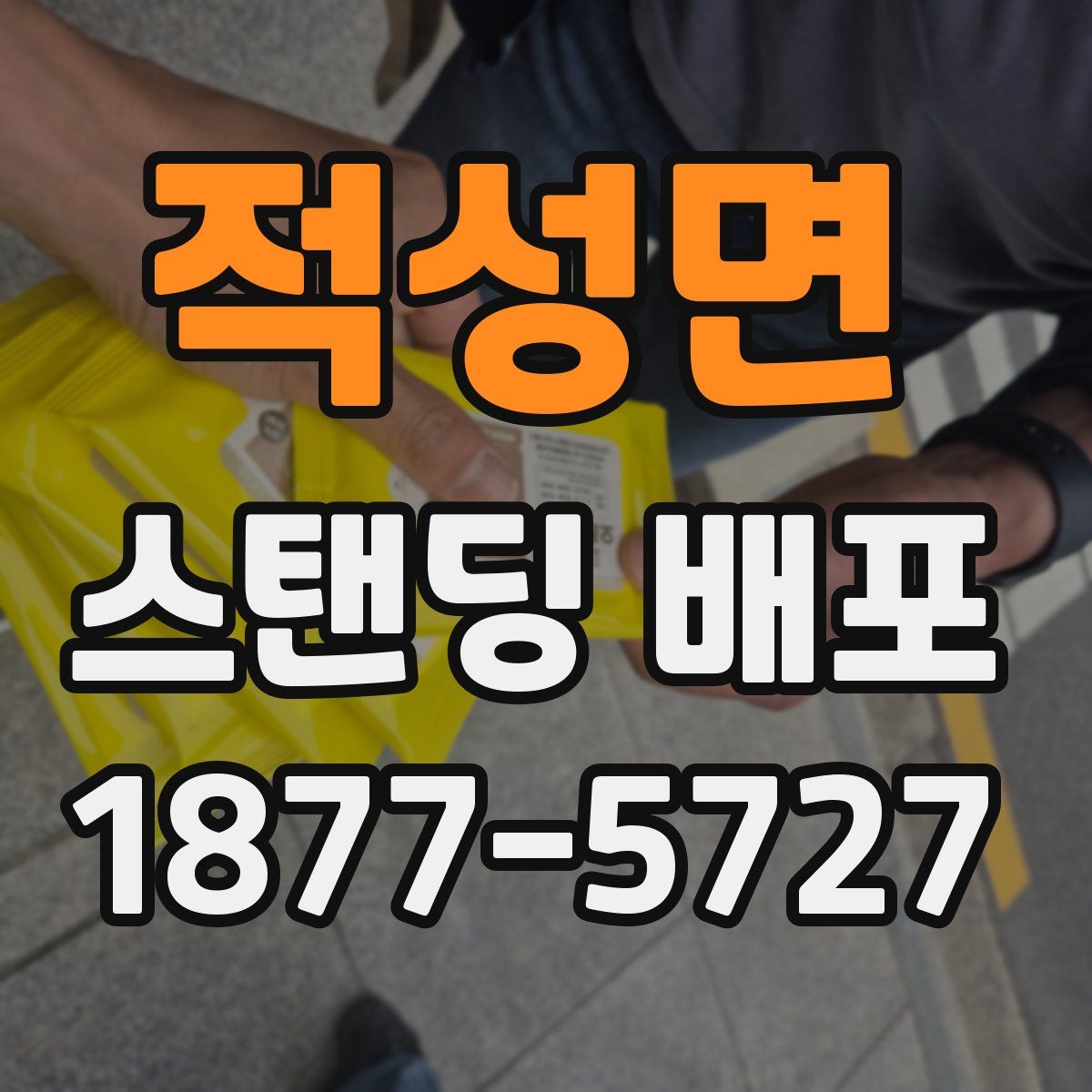 적성면 스탠딩 배포