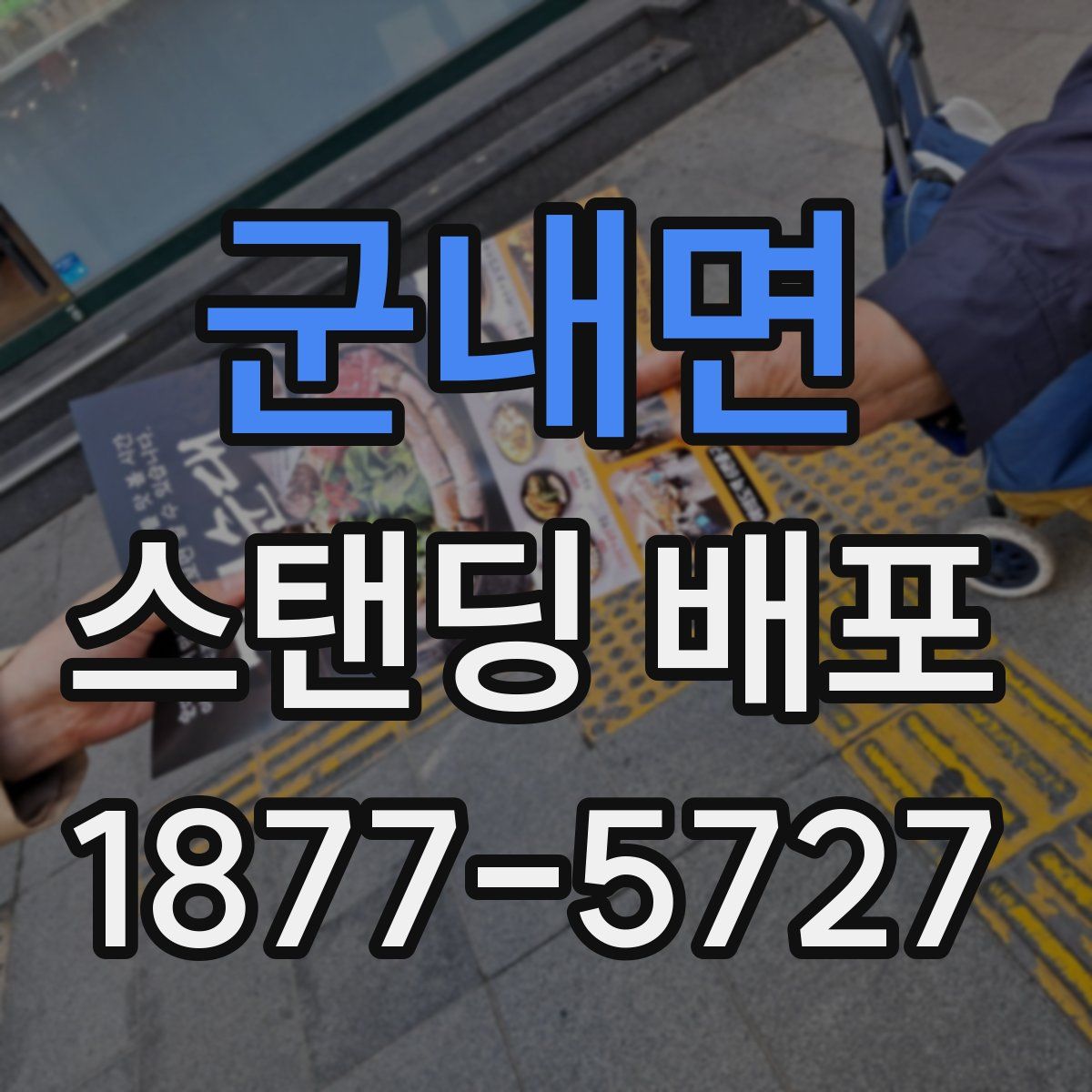 군내면 스탠딩 배포