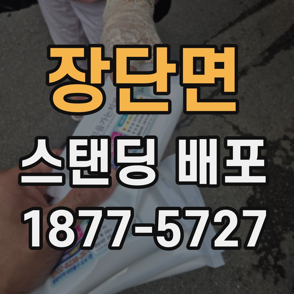 장단면 스탠딩 배포