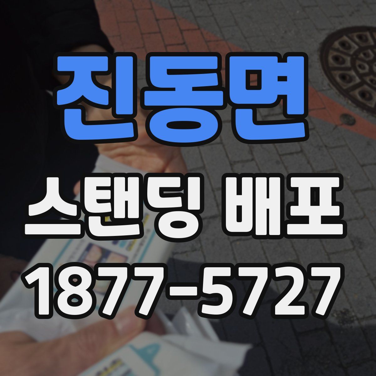진동면 스탠딩 배포