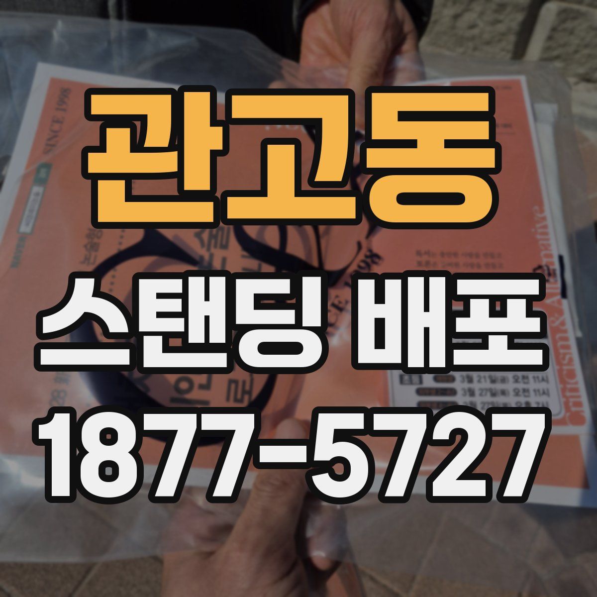 관고동 스탠딩 배포