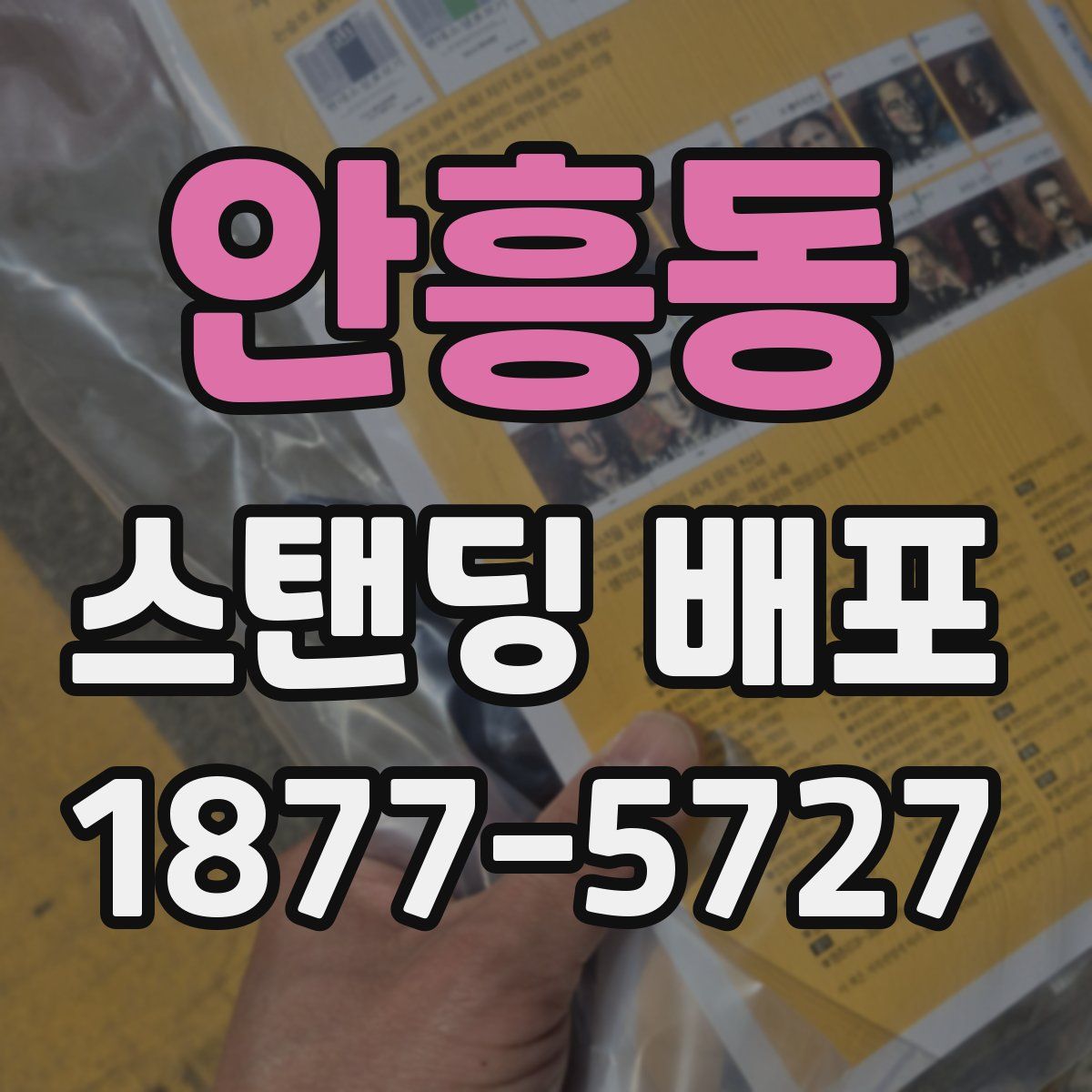 안흥동 스탠딩 배포