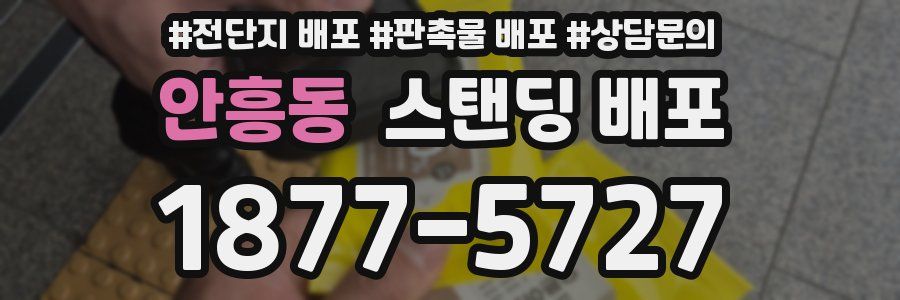 안흥동 스탠딩 배포