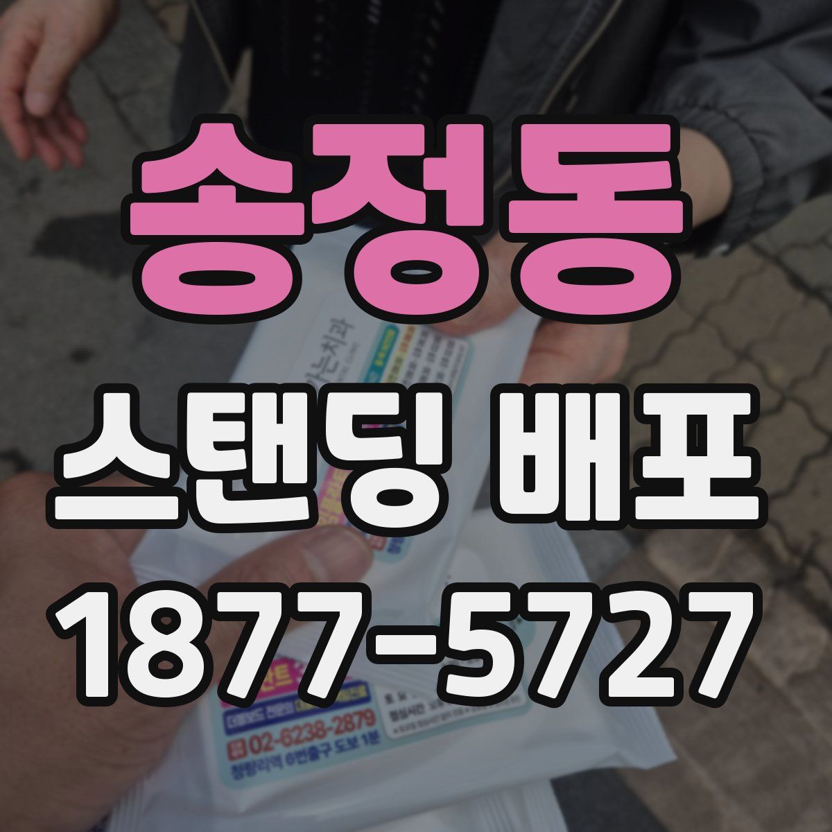 송정동 스탠딩 배포