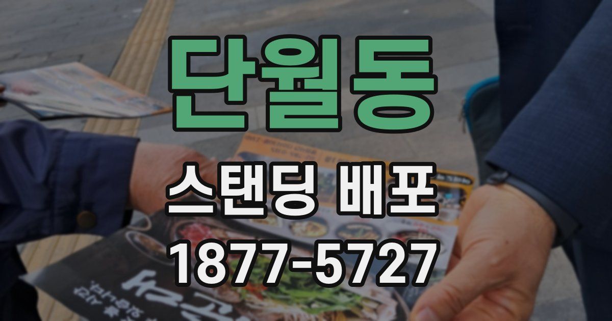 단월동 스탠딩 배포