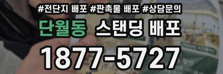 단월동 스탠딩 배포