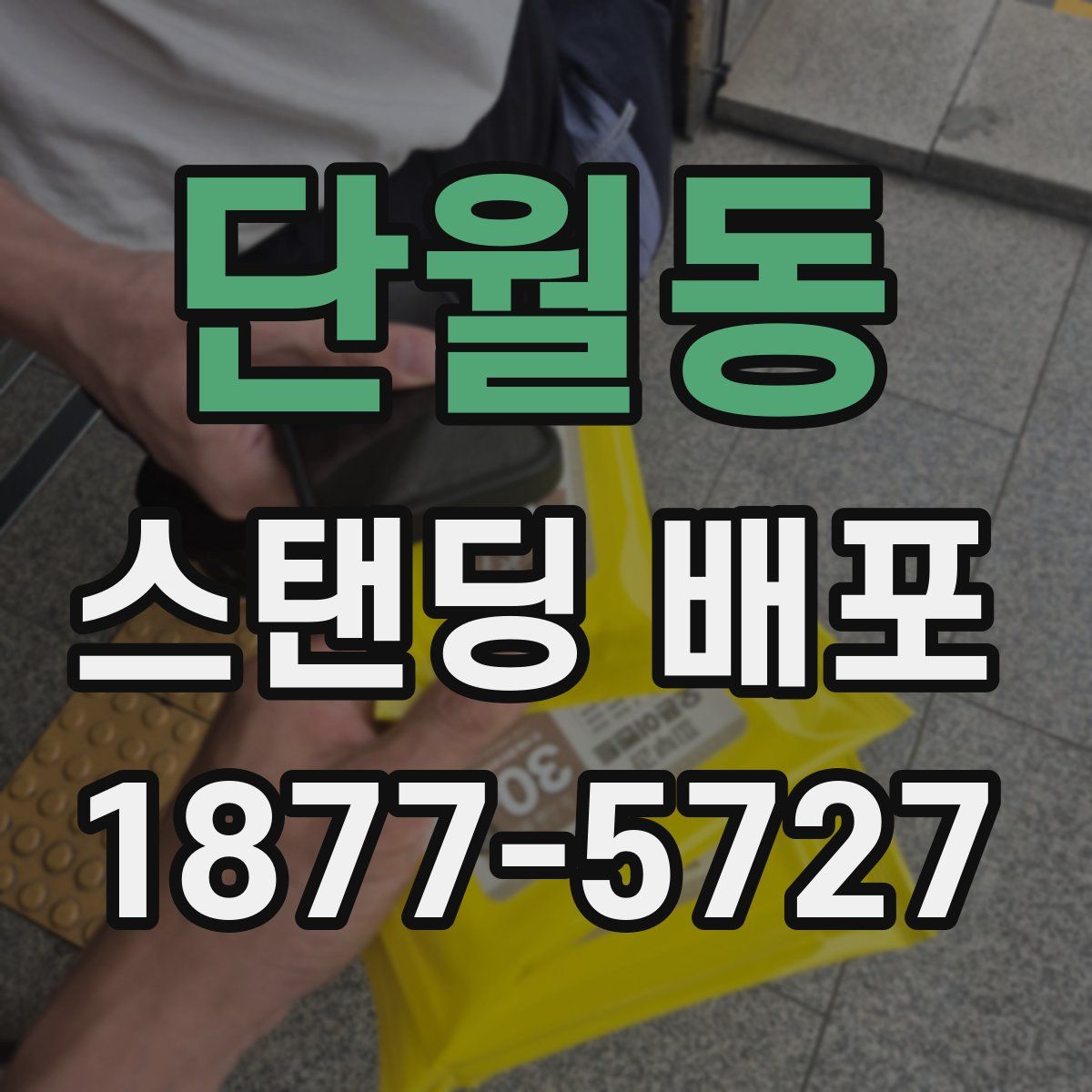 단월동 스탠딩 배포