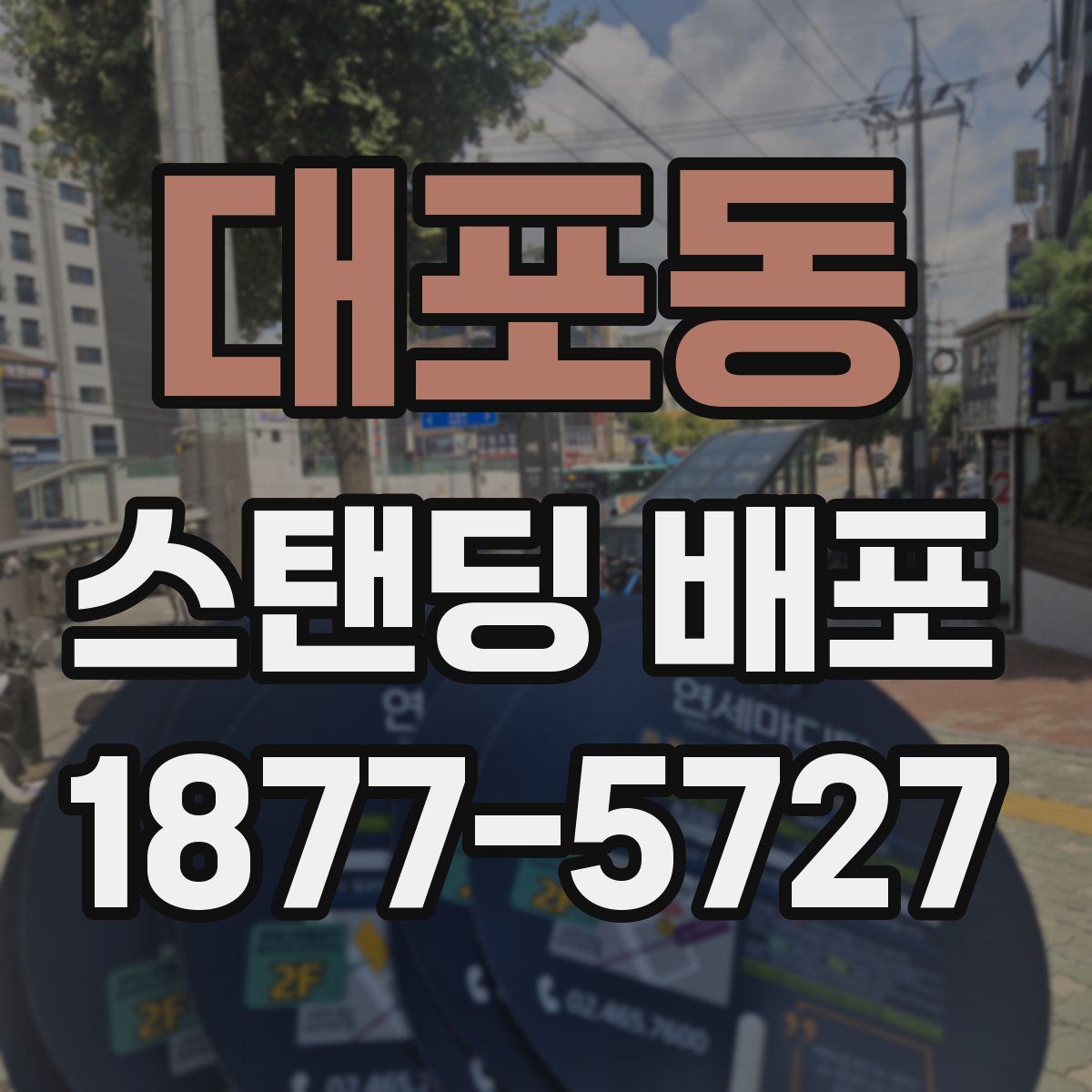대포동 스탠딩 배포