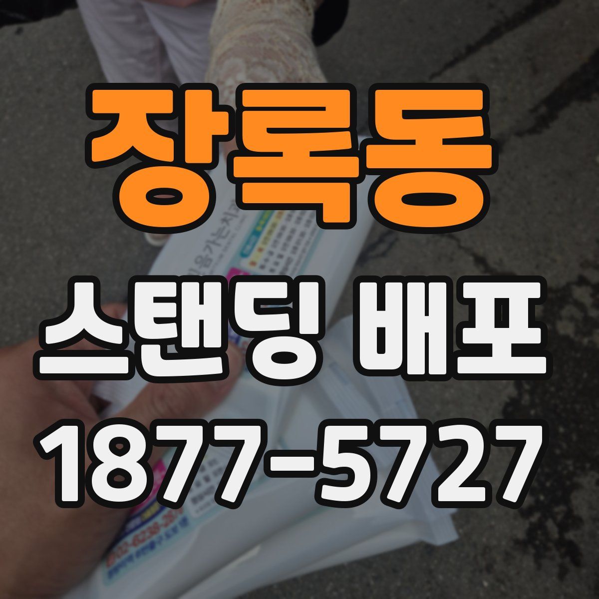 장록동 스탠딩 배포