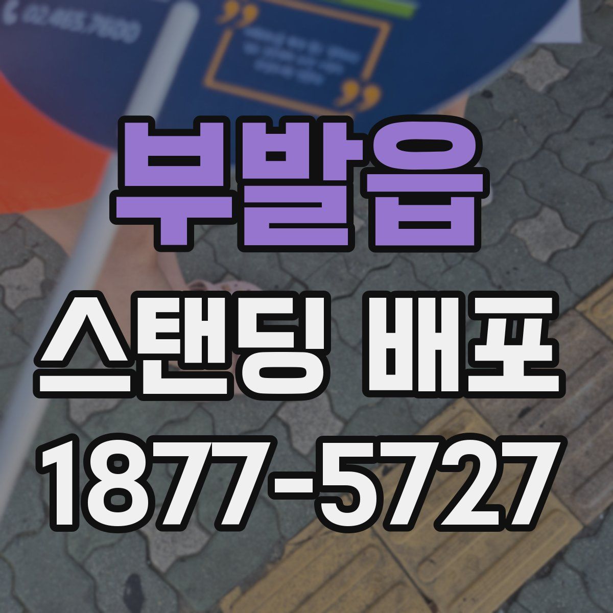 부발읍 스탠딩 배포