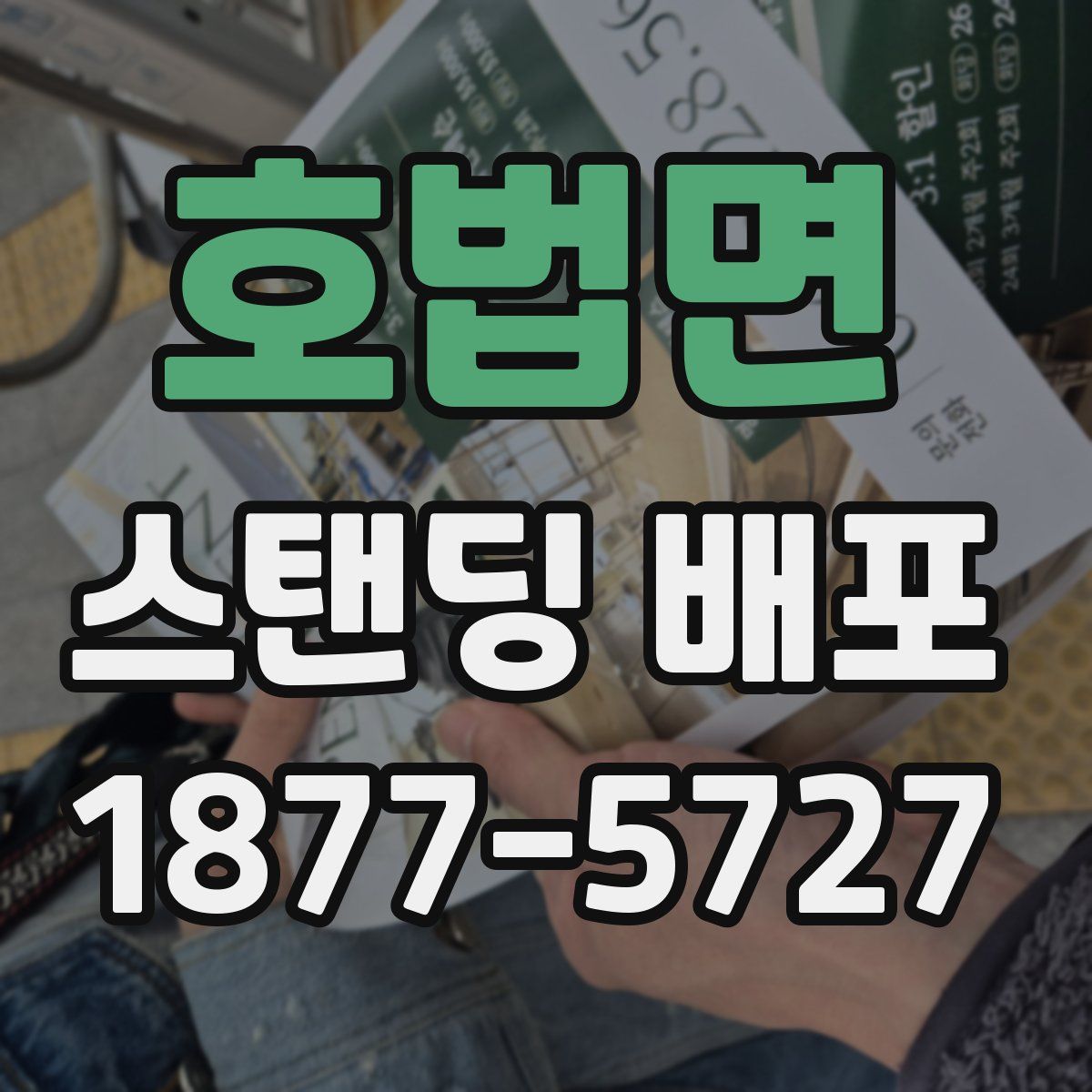 호법면 스탠딩 배포