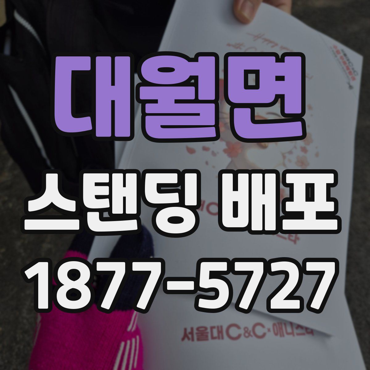 대월면 스탠딩 배포