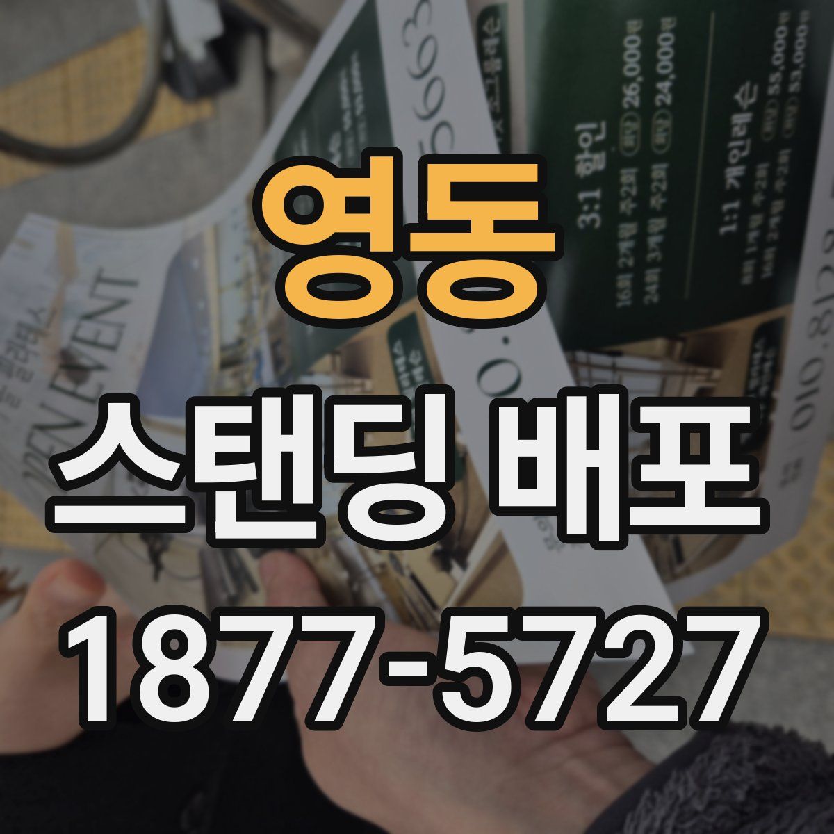 영동 스탠딩 배포
