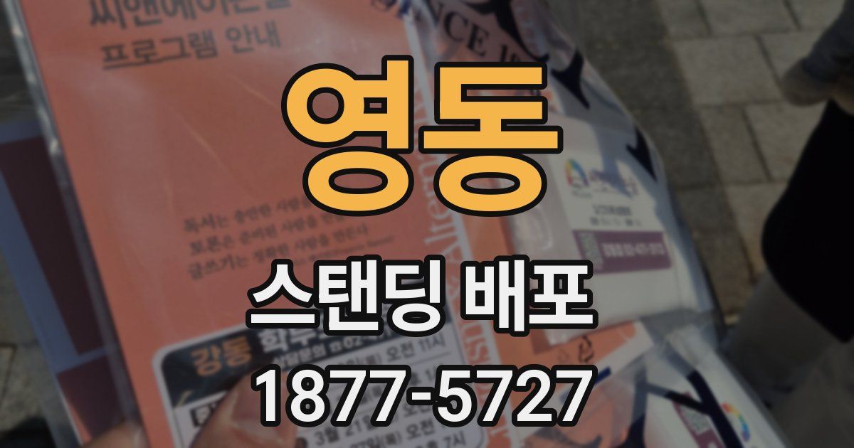 영동 스탠딩 배포