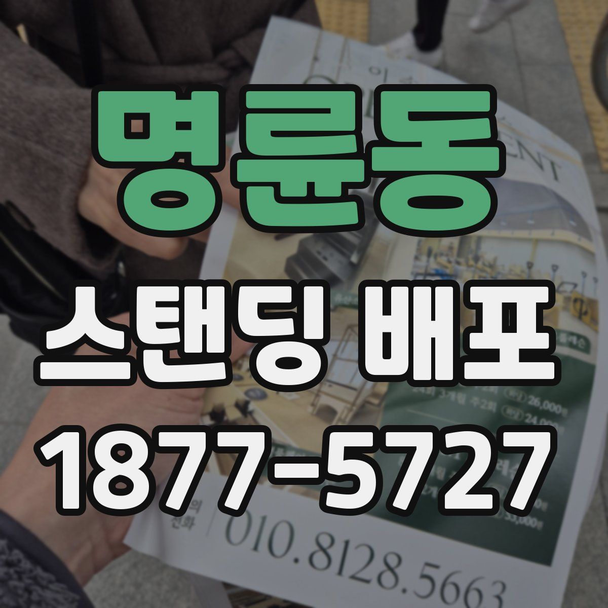 명륜동 스탠딩 배포