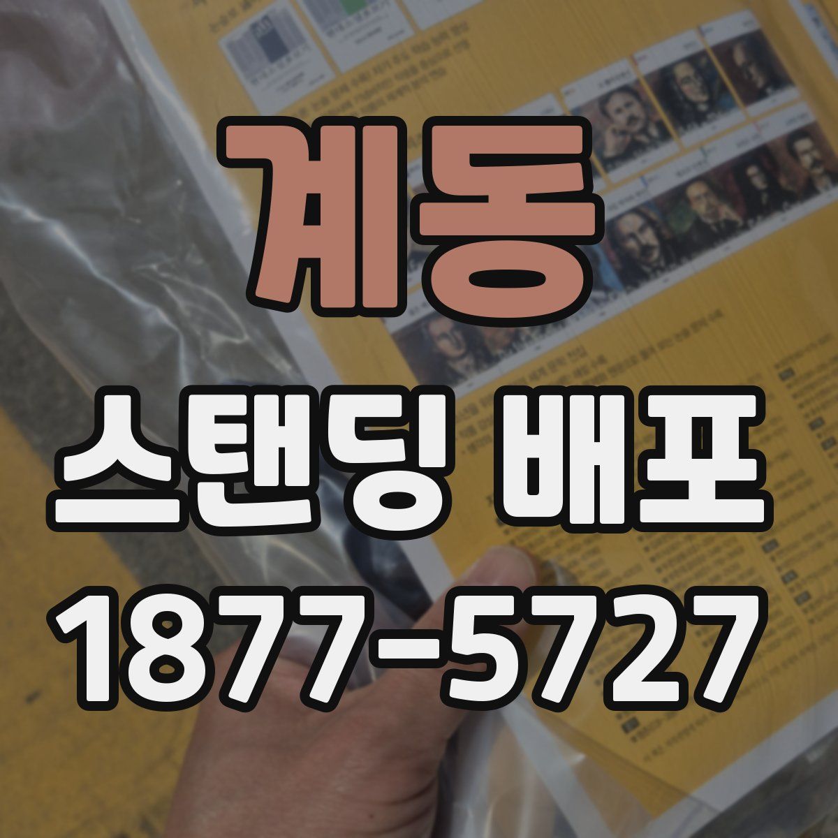 계동 스탠딩 배포