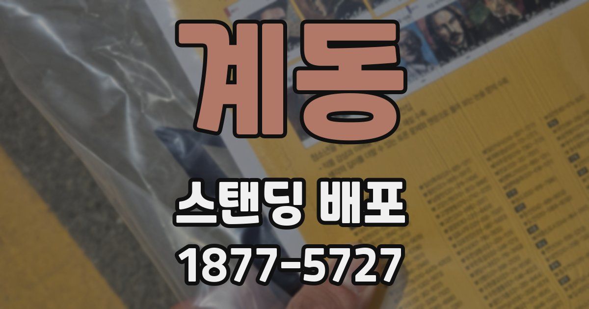 계동 스탠딩 배포